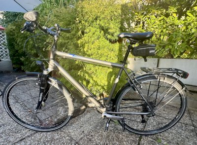 Tourenvelo CANYON GLOBE