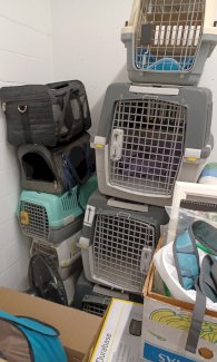 Katzenboxen, IATA Hundeboxen, Mäntelchen und vieles mehr