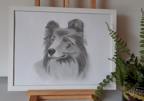 Bleistift Bilder Kunst 