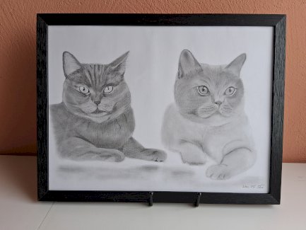 Bilder Kunst Bleistiftzeichnung