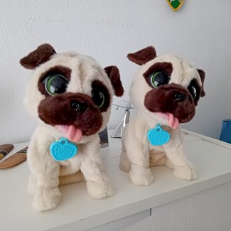 2 Plüsch Hunde - Gratisinserat.ch