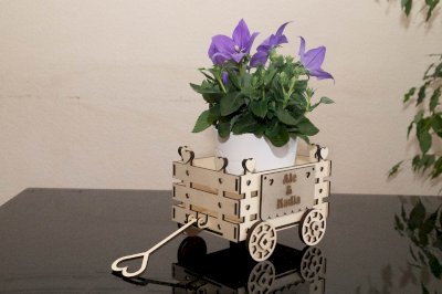 PERSONALISIERTER MINIATUR-HOLZWAGEN 