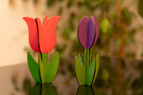 SET AUS HANDGEFERTIGTEN HOLZ-TULPEN - Gratisinserat.ch