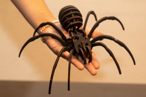 XXL Spinne aus Holz - Gratisinserat.ch