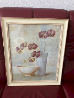 2 Orchideen  Bilder - Gratisinserat.ch