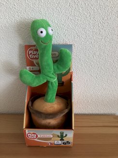 Lustiger Kaktus - Gratisinserat.ch