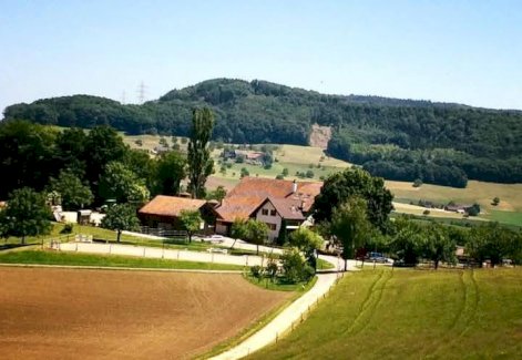 Landwirtschaftlichen Mitarbeiter - Gratisinserat.ch
