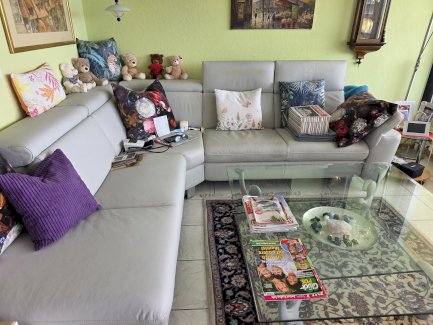 Polstergruppe Echtleder hellgrau - Gratisinserat.ch