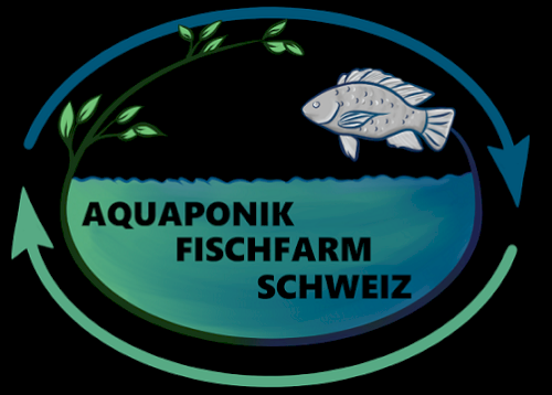 Aquaponik Fischfarm Schweiz