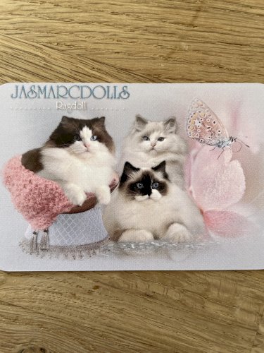 Jasmarcdolls