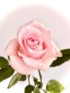 MASSAGE ZAUBER IN HORGEN  - Gratisinserat.ch