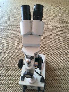 Binokular - Gratisinserat.ch