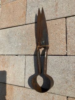 Schafschur - Schere antik,