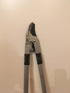 Astschere, Baumschere, Heckenschere