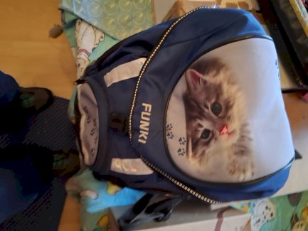 Rucksack zu verkaufen  - Gratisinserat.ch