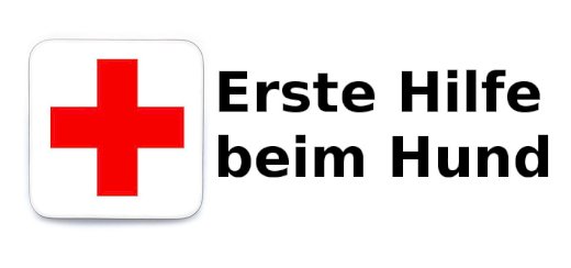 Erste Hilfe Kurs für Hundehalter - Gratisinserat.ch
