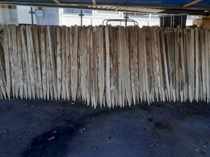 Zaunpfähle, Holzpfähle, Schwirren, Schwieren - Gratisinserat.ch
