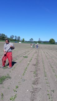 motivierte Feldmitarbeiter/innen - Gratisinserat.ch