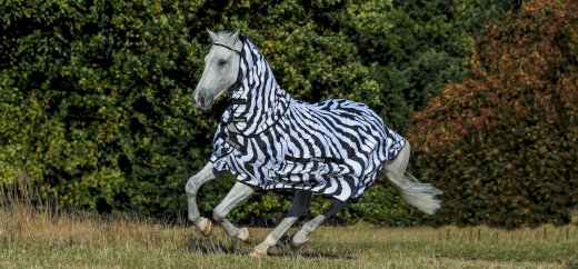 Bucas sweet itch Zebra Rückenlänge 110cm