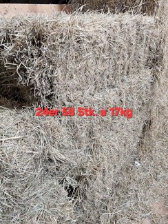 Heu in Kleinballen von 2024 - Gratisinserat.ch