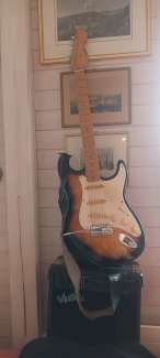 Elektrische Gitarre VESTER - Gratisinserat.ch