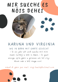 Katzenfreundliche WG gesucht