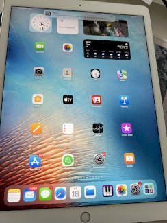 iPad Pro (12,9 mit 512 GB) in OVP
