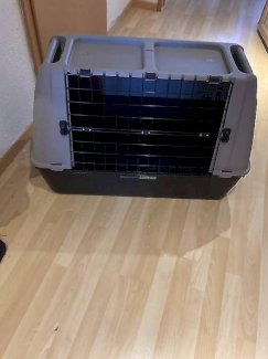 Hunde Transport Box Bracco
