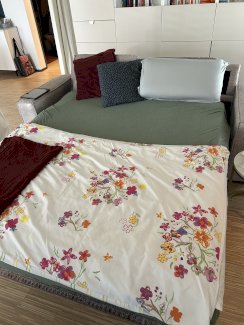 Sehr gut erhaltenes Schlafsofa Taupe - Gratisinserat.ch