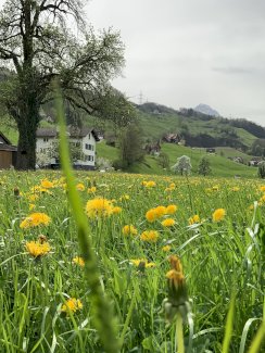 Vermiete Lagerraum - Gratisinserat.ch