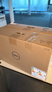 Dell Monitore P2219H - Gratisinserat.ch