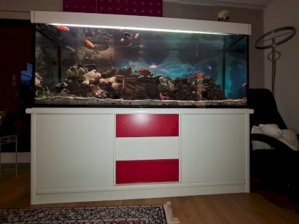 Aquarium 800 Liter, inkl. Möbel, mit Fischen und Zubehör - Gratisinserat.ch