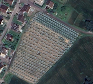 Blautannen-Kulturbetrieb zu verpachten - Gratisinserat.ch