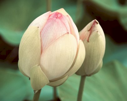 Life-Coaching - Gratisinserat.ch