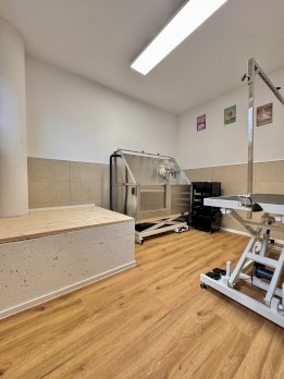 🐶 Raum zur Mitbenutzung für selbstständige Hundecoiffeuse 🐾