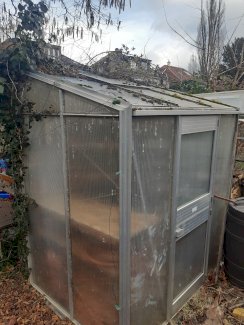 Gewächshaus - Gratisinserat.ch