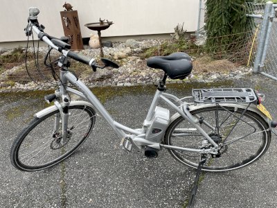 Älteres e-Bike Marke Flyer (45 km/h)
