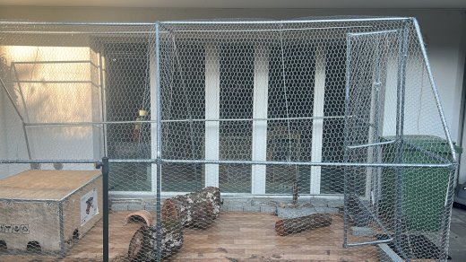 Hühnergitter 2X4X2 m Gratis - Gratisinserat.ch