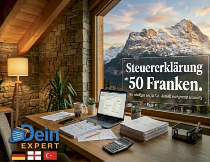 Professionelle Unterstützung bei Ihrer Steuererklärung 50.- - Gratisinserat.ch