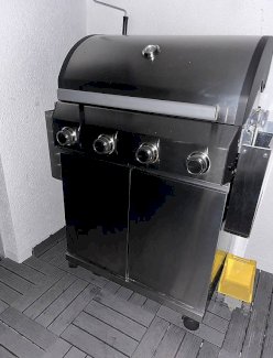 FIRE KING Gas Grill - Gratisinserat.ch