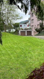 Gartenpflege • Sanitär • Kleinunterhalt aus einer Hand - Gratisinserat.ch