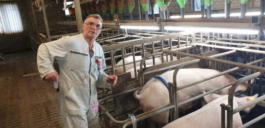 Landwirt sucht Job auf Ihrem Bauernhof als Tierbetreuer mit Unterkunft - Gratisinserat.ch