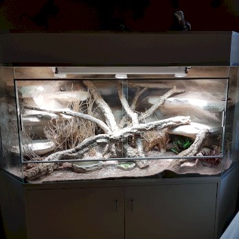 Delta-Eckterrarium mit Unterbaumöbel