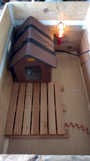 Geheiztes Outdoor Katzenhaus für den Winter - Gratisinserat.ch