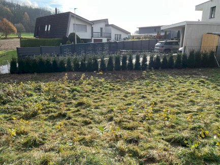 Bügeln - Gratisinserat.ch