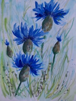 Kornblumen handgemalte Aquarelle - Gratisinserat.ch
