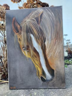 Pferd Reiten Pony neue Oelgemaelde - Gratisinserat.ch