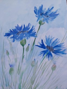 Kornblumen Blau Aquarelle handgemalt