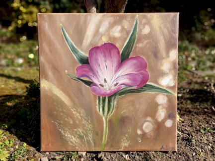 Feldblume Gemaelde Profi von mir gemalt - Gratisinserat.ch