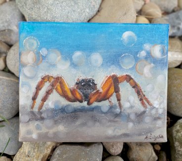 Natur Spinne von Kunstlerin direkt - Gratisinserat.ch
